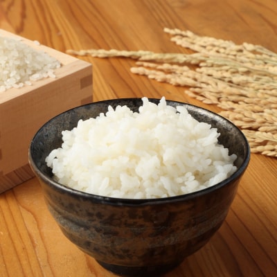 令和8年産 新米 コシヒカリ 精米10kg 高知県産 白米 1袋【R01668】