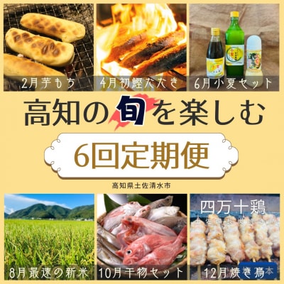 定期便 6回 高知の旬セット 鰹のたたき 焼き鳥 お米 干物 芋餅 小夏調味料【J00228】