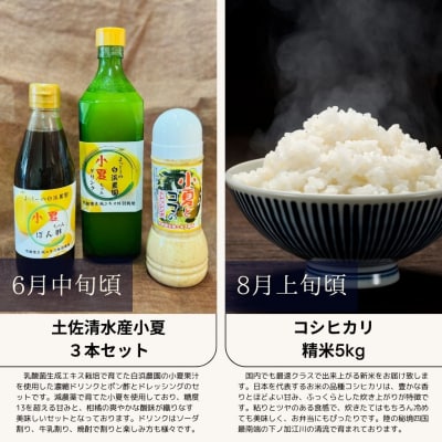 定期便 6回 高知の旬セット 鰹のたたき 焼き鳥 お米 干物 芋餅 小夏調味料【J00228】