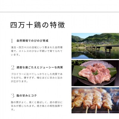 3回定期便 冷凍 四万十鶏の焼き鳥 国産もも肉 炭火焼き 計50本セット タレ味 塩味 各25本 