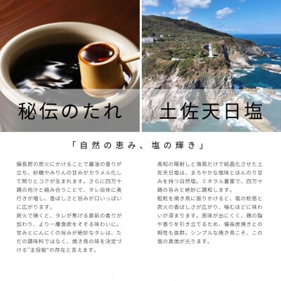 3回定期便 冷凍 四万十鶏の焼き鳥 国産もも肉 炭火焼き 計50本セット タレ味 塩味 各25本 