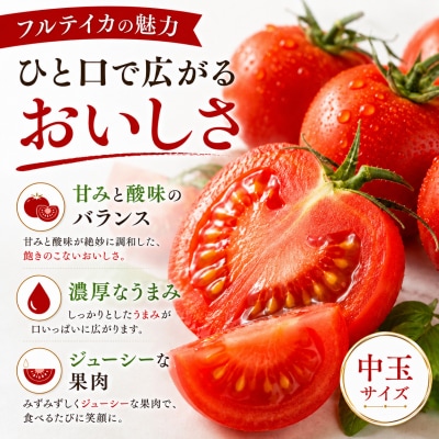 【さとふる限定】訳あり フルティカトマト 1kg  11月より発送【R01409-1】