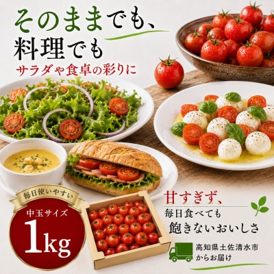【さとふる限定】訳あり フルティカトマト 1kg  11月より発送【R01409-1】