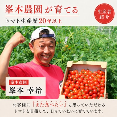 【さとふる限定】フルティカトマト 1kg  11月より発送 中玉トマト【R01409-1】