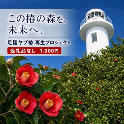 足摺ヤブ椿再生プロジェクト 応援(返礼品なし) 自然・環境保護 SDGs【R01750】