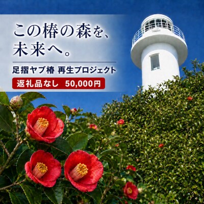 足摺ヤブ椿再生プロジェクト 応援(返礼品なし) 自然・環境保護 SDGs【R01753】