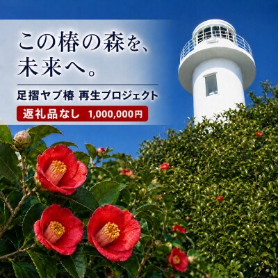 足摺ヤブ椿再生プロジェクト 応援(返礼品なし) 自然・環境保護 SDGs【R01755】