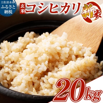 令和8年産 新米 コシヒカリ 玄米10kg×2R8.8月発送予定 高知県産
