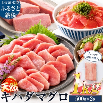 訳あり 天然マグロ 赤身 1kg(500g×2パック)天然キハダマグロ 冷蔵【R01619】