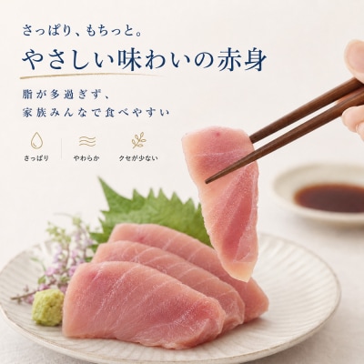 訳あり 天然マグロ 赤身 1kg(500g×2パック)天然キハダマグロ 冷蔵【R01619】