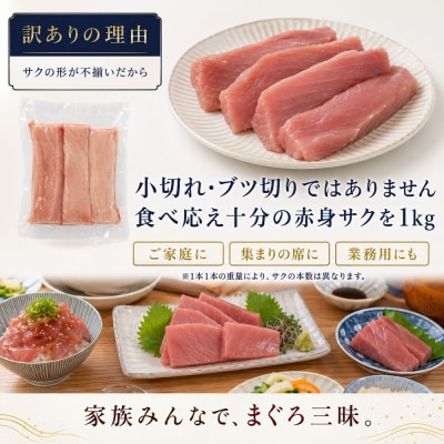 訳あり 天然マグロ 赤身 1kg(500g×2パック)天然キハダマグロ 冷蔵【R01619】