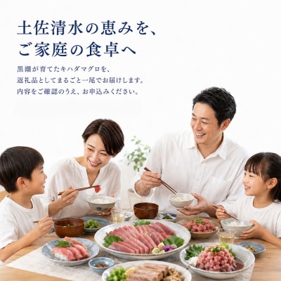 天然 キハダマグロ 1尾(約2kg～2.5kg)下処理なし まぐろ 鮪 赤身 刺身 約8～12人前
