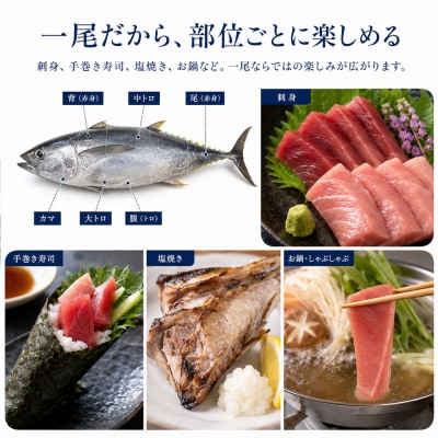 天然 キハダマグロ 1尾(約2kg～2.5kg)下処理なし まぐろ 鮪 赤身 刺身 約8～12人前