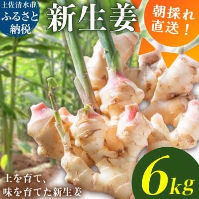 新生姜 6kg(3kg×2箱)水洗いのみ【R01775】 