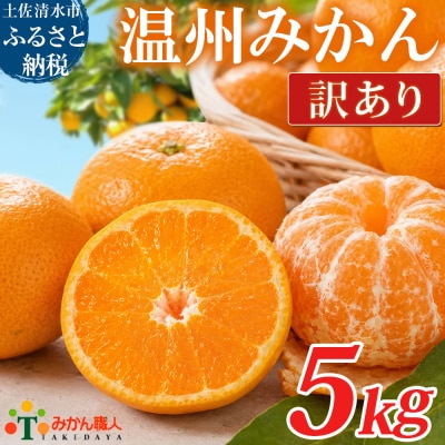 温州みかん 訳あり 5kg 傷み補償300gあり フルーツ 柑橘 サイズミックス【R01618】