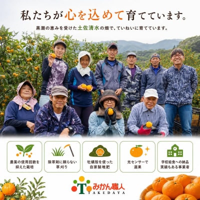 温州みかん 訳あり 5kg 傷み補償300gあり フルーツ 柑橘 サイズミックス【R01618】