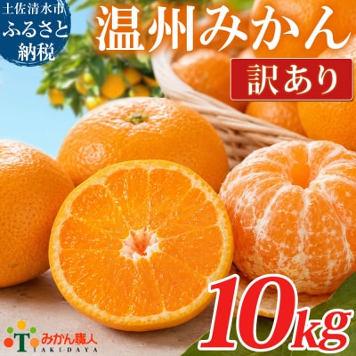 温州みかん 訳あり 10kg 傷み補償300gあり フルーツ 柑橘 サイズミックス【R01788】