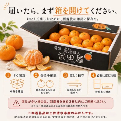 温州みかん 訳あり 10kg 傷み補償300gあり フルーツ 柑橘 サイズミックス【R01788】