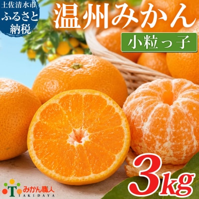 小粒 温州みかん 訳あり 3kg 傷み補償300gあり フルーツ 柑橘 不揃い【R01790】