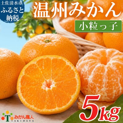 小粒 温州みかん 訳あり 5kg 傷み補償300gあり フルーツ 柑橘 不揃い【R01791】