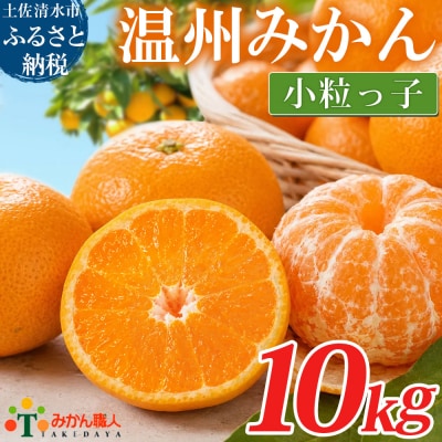 小粒 温州みかん 訳あり 10kg 傷み補償300gあり フルーツ 柑橘 不揃い【R01792】
