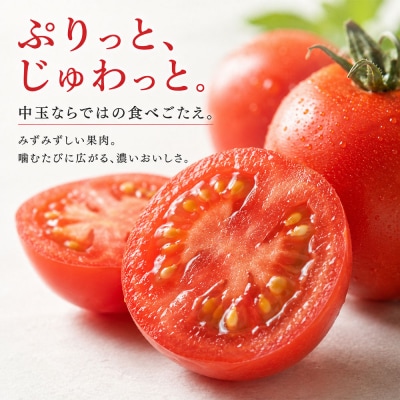 トマト魂!峯本の贅沢 フルティカトマト(中玉サイズ)2キロ【R01032】