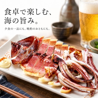 スルメイカ一夜干し 3枚 土佐清水産のスルメイカ ひいとい干し 鮮魚一八【R01783】 