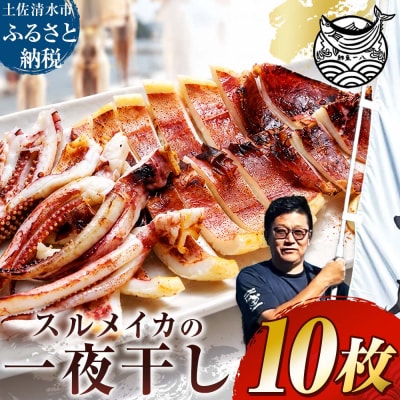 スルメイカ一夜干し 10枚 土佐清水産のスルメイカ ひいとい干し 鮮魚一八【R01785】
