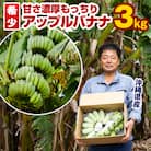 【希少】甘さ濃厚もっちりアップルバナナ3kg