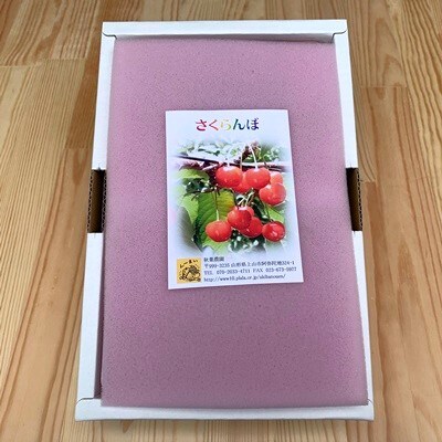 さくらんぼ(佐藤錦か紅秀峰)400g×2パック　ご家庭用　0049-2505
