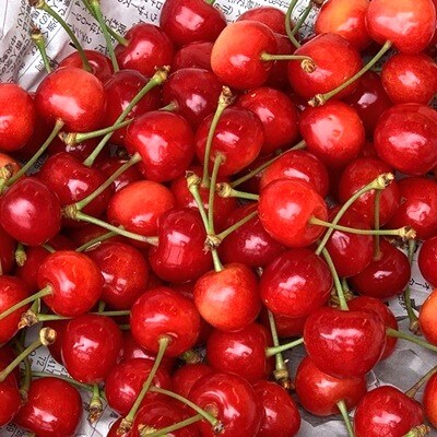さくらんぼ(佐藤錦か紅秀峰)400g×2パック　ご家庭用　0049-2505