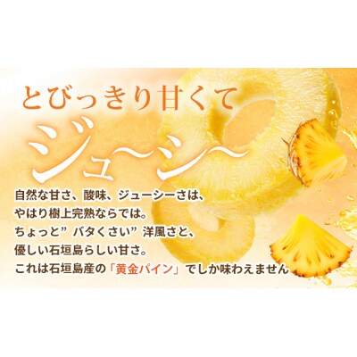 【先行受付】《2025年夏季 順次発送》黄金パイン大玉2個入 計3.0kg