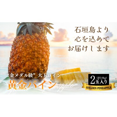 【先行受付】《2025年夏季 順次発送》黄金パイン大玉2個入 計3.0kg