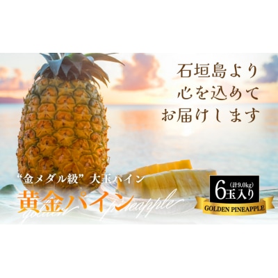 【先行受付】《2025年夏季 順次発送》黄金パイン大玉6個入 計9.0kg