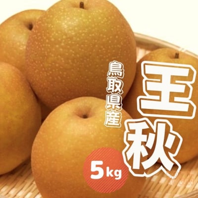 王秋梨 5kg 鳥取県産【10月中旬～10月下旬頃発送】ナシ なし 5キロ JA米子選果場 0612