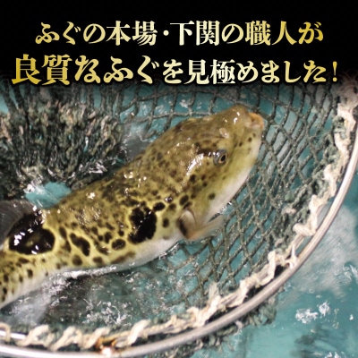 たっぷり4人前　天然ふぐちり鍋(T-58IZ) FG019
