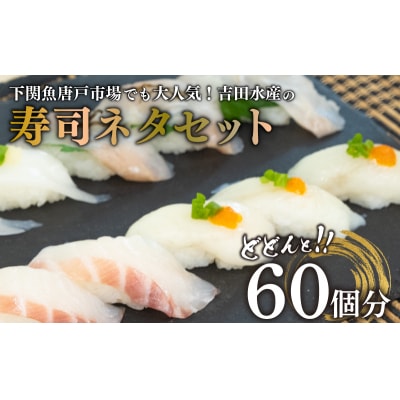 寿司ネタセット BV009
