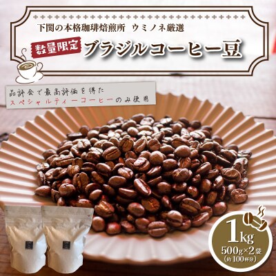 特別企画★一番摘み 　手摘み完熟豆ブラジル500g★落札後焙煎します 自家焙煎コーヒー豆 】ブラジル 一番摘み 手摘み完熟豆