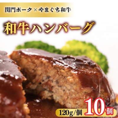 和牛 ハンバーグ 120g×10個 冷凍 BM201