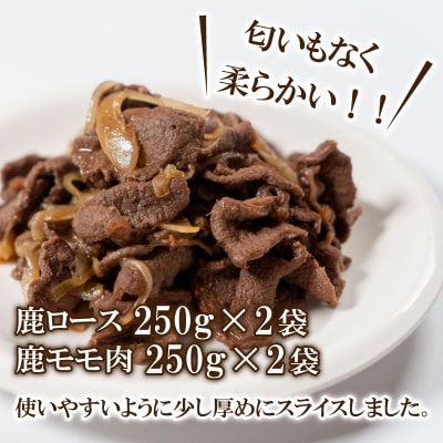 長州ジビエ シカロースとモモ肉の詰め合わせ BM101