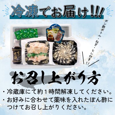 ふぐ 刺身 ちり 鍋 セット 2人前 冷凍 とらふぐ てっさ てっちり BV003