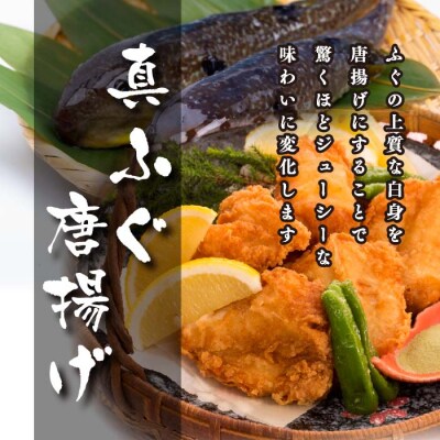 【お届け指定日必須】 ふぐまるごと満喫セット 4～5人前 霜降り 刺身 150g 冷蔵 FR037