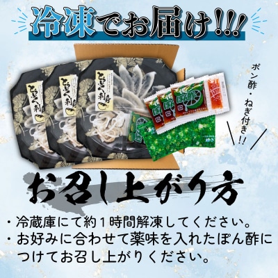 とらふぐ刺身セット (3人前) 冷凍 3皿 フグ刺し BV001