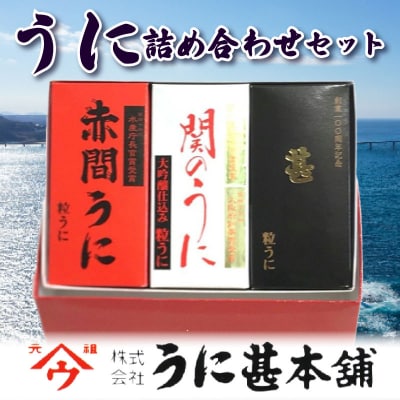 鳳凰(大) NT-140 ぎこち