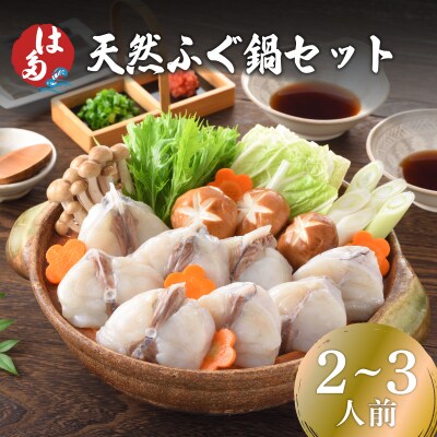 天然ふぐ鍋セット(2~3人前) 冷凍 海鮮鍋セット ID007-x