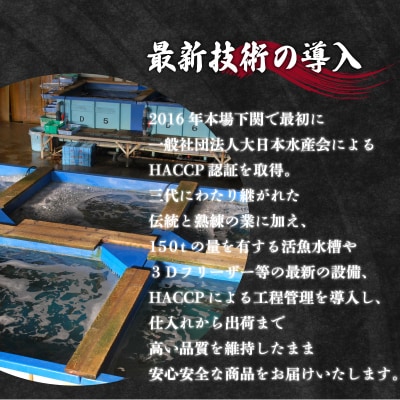 天然ふぐ鍋セット(2~3人前) 冷凍 海鮮鍋セット ID007-x