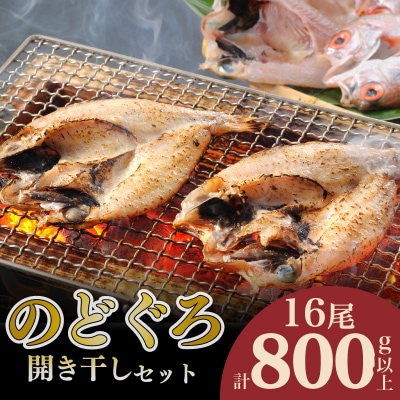 のどぐろ 開き干し セット 計 800g up 冷凍 16尾 AS138-NT