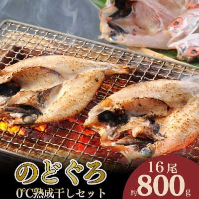 のどぐろ 開き 0℃熟 干し セット 計 800g up 冷凍 16尾 AS138-NT