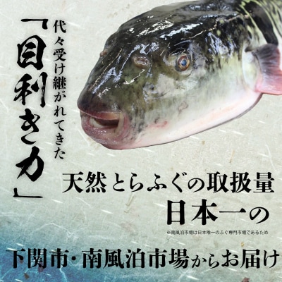 とらふぐ鍋セット(5-6人前) 冷凍 海鮮鍋 冬 BV014
