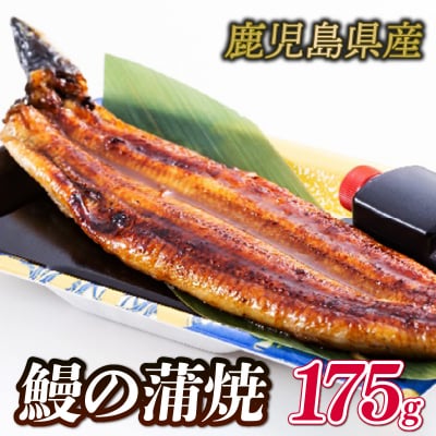 国産 鰻の蒲焼 GZ001